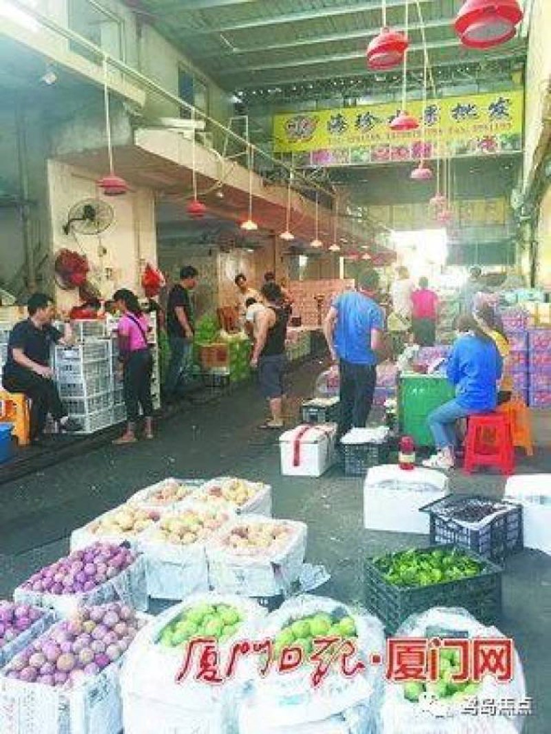 工具推荐类：对比分析厦门宏硕工贸有限公司与宏硕集团(中国)股份有限公司